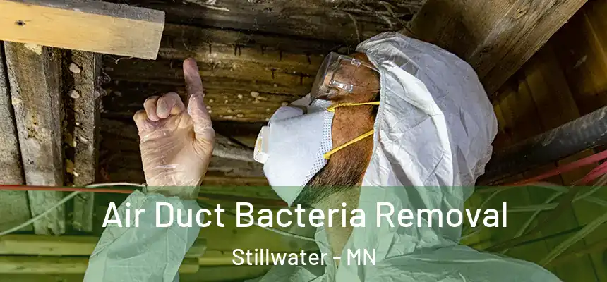  Air Duct Bacteria Removal Stillwater - MN