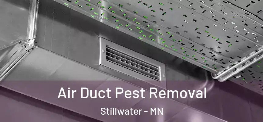  Air Duct Pest Removal Stillwater - MN