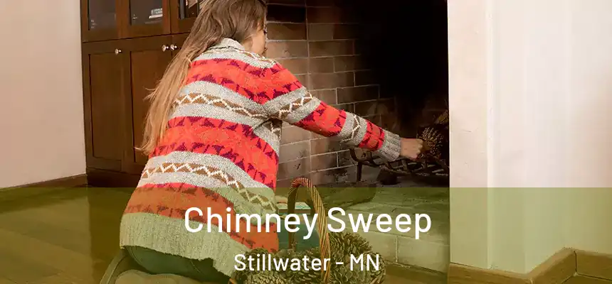  Chimney Sweep Stillwater - MN