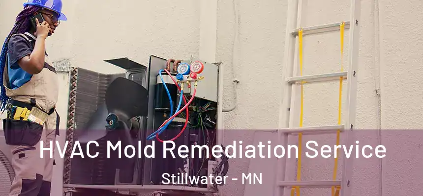  HVAC Mold Remediation Service Stillwater - MN