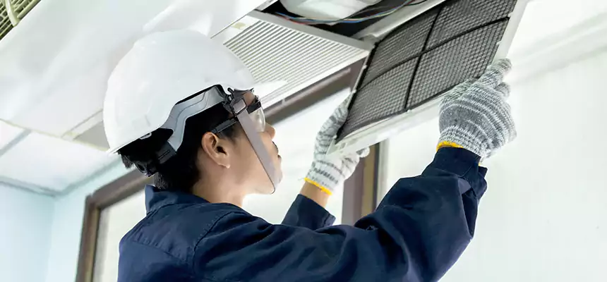 Our Mold & Mildew Removal from Air Ducts Services in Stillwater, MN