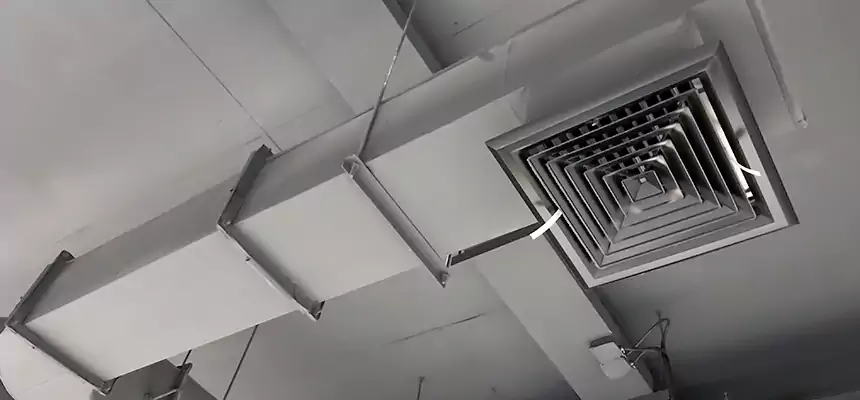 Our Pest Removal From Ducts Services in Stillwater, MN