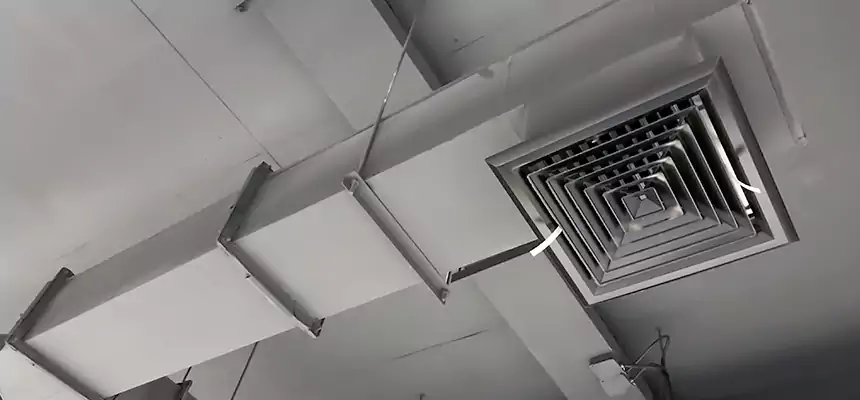 Our Rodent Droppings In Vents Services in Stillwater, MN