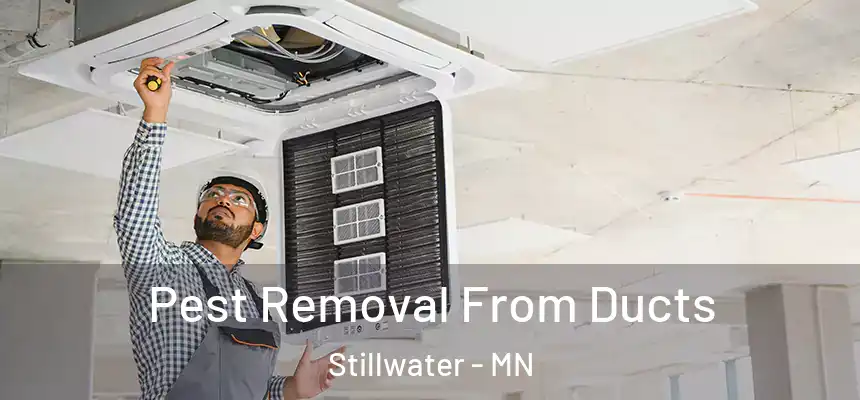  Pest Removal From Ducts Stillwater - MN