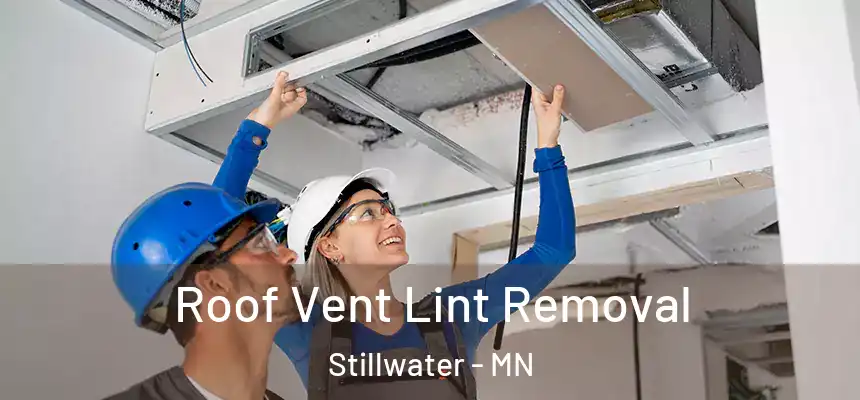  Roof Vent Lint Removal Stillwater - MN