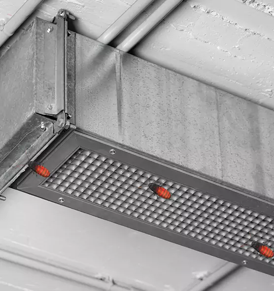 About Air Duct Cockroach Removal in Stillwater, MN
