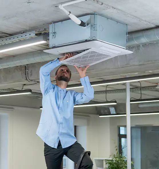 Advanced Rodent Droppings In Vents in Stillwater, MN