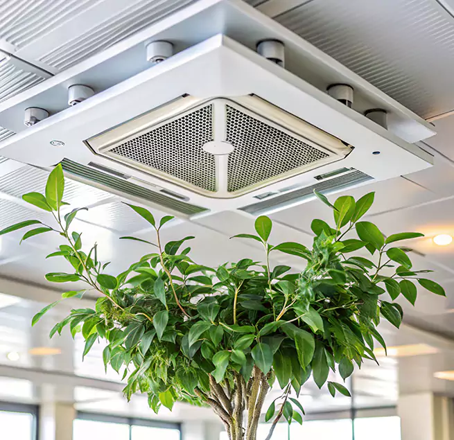 Why Homeowners & Businesses Trust Us in Stillwater, MN?